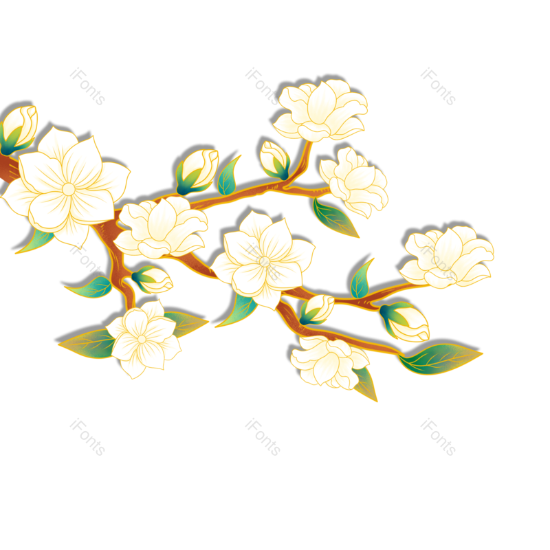 花卉图片,春天元素,植物PNG,免抠素材
